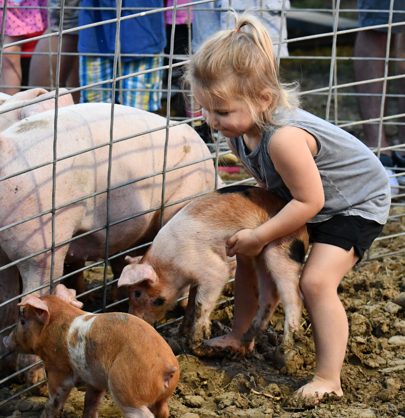 Millison Brune grabs a piglet